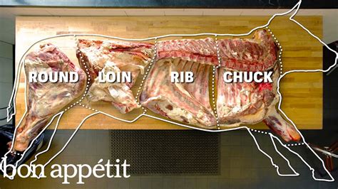 How To Butcher An Entire Cow: Every Cut Of Meat Explained | Bon Appetit - YouTube