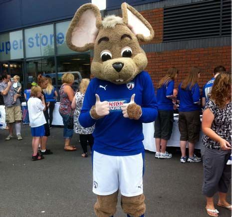 Chesterfield - Chester the Fieldmouse. Sports Advertising, Mouse Costume, Sports Shops, Mascot ...