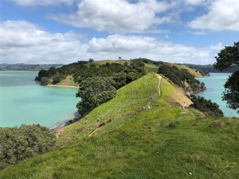 2023 Best 10 Trails and Hikes in Auckland | AllTrails