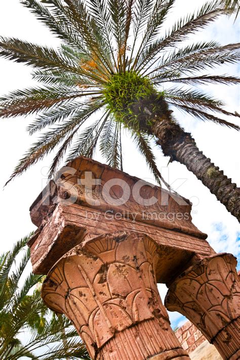 Egyptian Columns Stock Photo | Royalty-Free | FreeImages