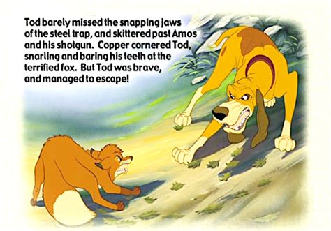 The fox and the hound book - The Fox and the Hound Photo (39660352 ...