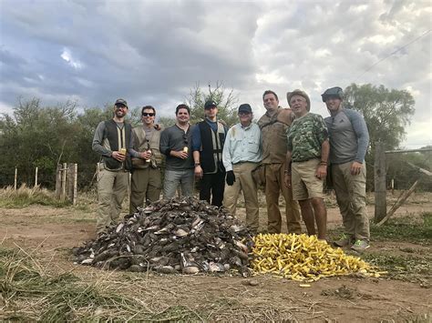 Dove and Pigeon Shooting - Salta, Argentina | Wings Inc.