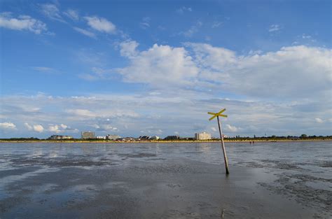 German North Sea coast near Cuxhaven North Sea, Wind Turbine, Birth ...