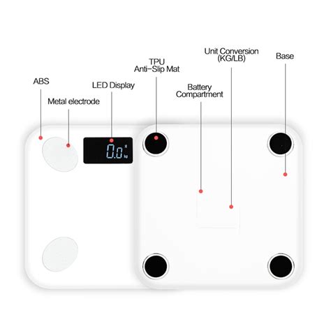 Bluetooth Smart Scale in White – Encatrim