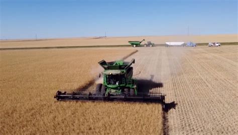 ATB report say 2022 was a record year for Alberta farmers | CTV News