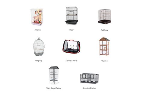 Bird Cage Buying Guide: How to Choose the Best Option | Wayfair