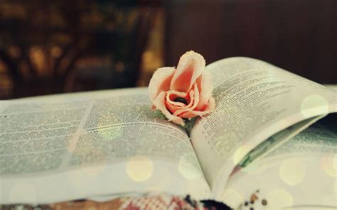 Books and Flowers Wallpapers - Top Free Books and Flowers Backgrounds ...