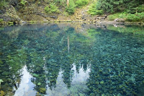 Blue Pool/Tamolitch Pool - Hike Oregon