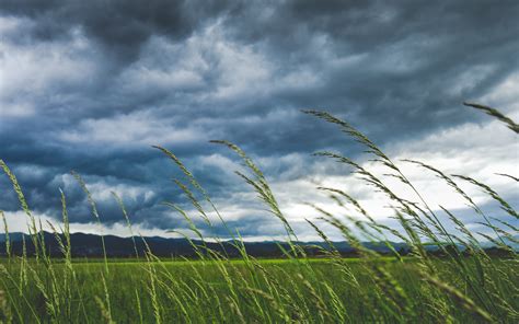 Inspecting Your Roof for Damage Caused by High Winds | Hamilton, Burlington, St. Catharines