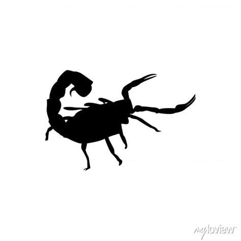 Scorpion vector illustration, vector icon, black silhouette, • wall ...