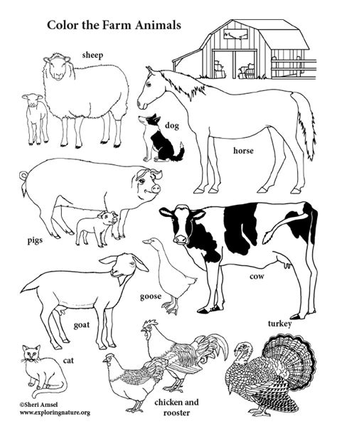 Farm Animal Coloring Pages