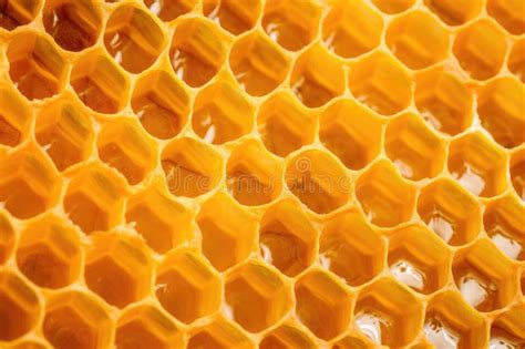 Macro Shot of Honey-filled Honeycomb Cells Stock Image - Image of ...