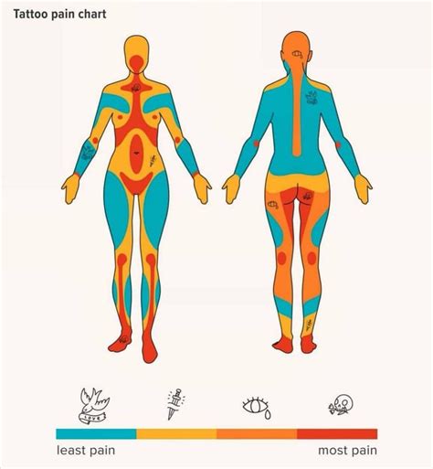 Tattoo pain chart : r/coolguides