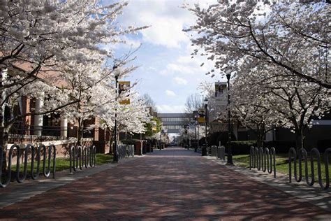 VCU students contemplate August return to campus