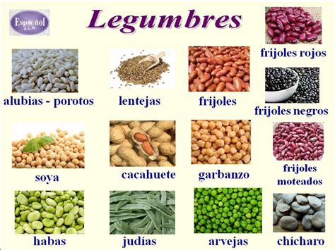 tipos de leguminosas - Buscar con Google | Tipos de legumbres, Legumbres, Nutrición