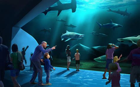 The Ultimate Guide to Visiting Georgia Aquarium Atlanta