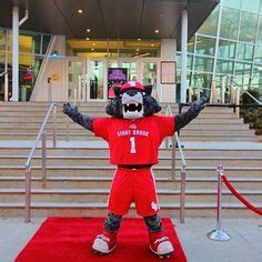 21 Wolfie - Official Mascot of the Stony Brook Seawolves ideas | stony ...