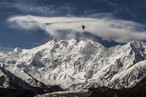 Geology of the Tibetan Plateau