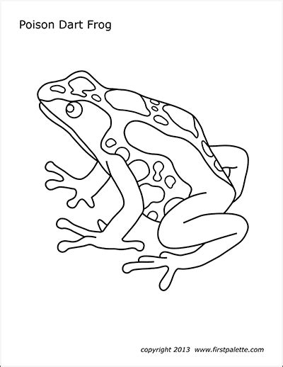 Soulmuseumblog: Poison Dart Frog Coloring Pages