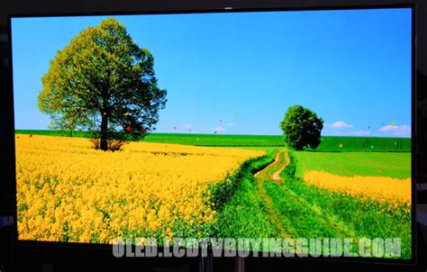 Samsung OLED TV