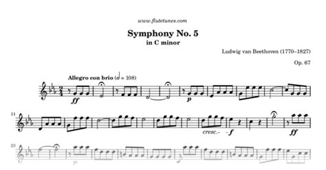 Symphony No. 5 (L. van Beethoven) - Free Flute Sheet Music | flutetunes.com