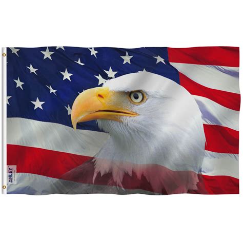 Wings Out Attack Bald Eagle American Flag Rv Motorhome