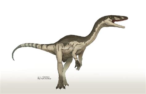 Coelophysis Pictures & Facts - The Dinosaur Database