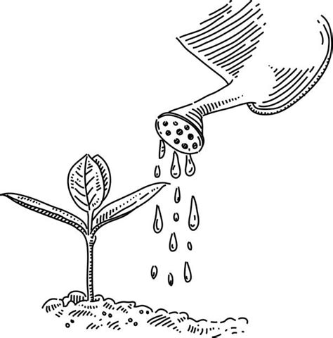 Watering Plants Illustrations, Royalty-Free Vector Graphics & Clip Art - iStock