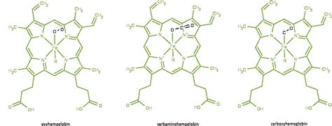 Figure 9.5. Hemoglobin Is a Classic Example of Biochemical Complex ...