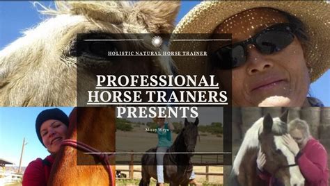 Professional horse trainers presents - Holistic Natural Horse Trainer - Medium