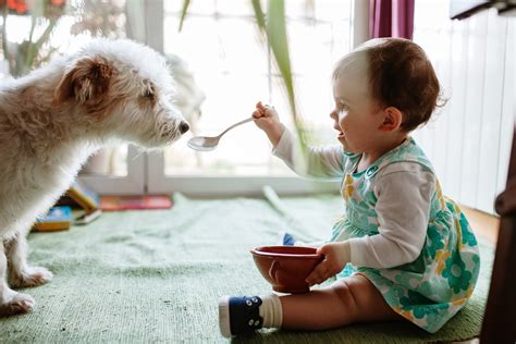 Adorable Photos of Dogs and Babies Playing Together | Reader's Digest