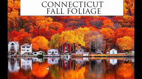 Connecticut Fall Foliage: Your Complete Guide to the Changing Colors ...