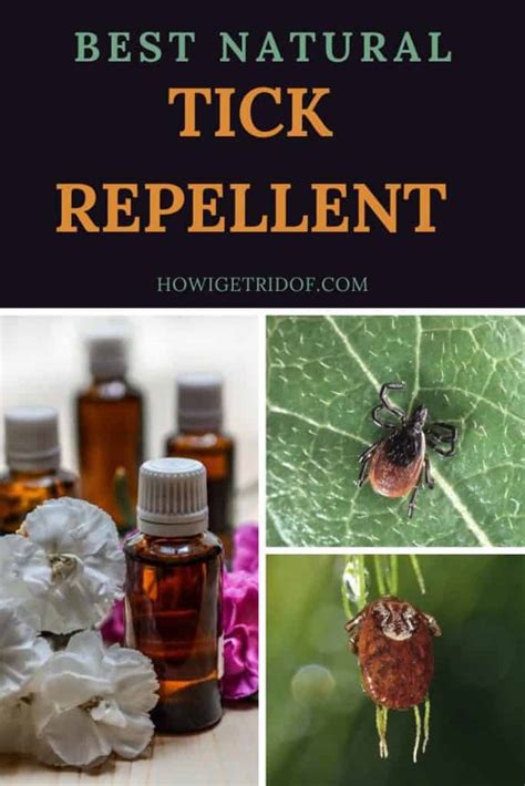 Best Natural Tick Repellent Products That Work - How I Get Rid Of