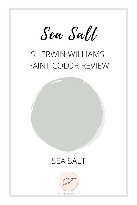 Sherwin Williams Sea Salt Paint Color Review - SW 6204