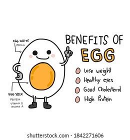 Benefits Egg Cartoon Vector Infographic Chart: stockvector (rechtenvrij ...