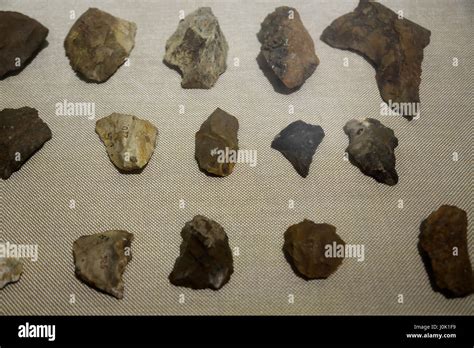 Colombo Sri Lanka National Museum middle paleolithic stone tools collection of E.J Wayland Stock ...