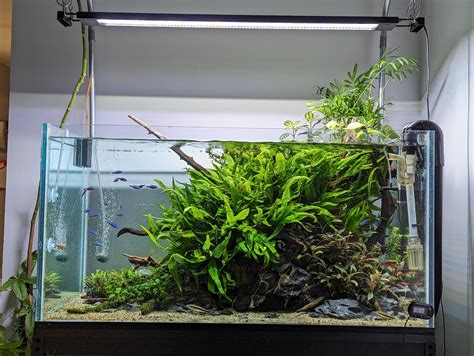 200 gallon upate : r/PlantedTank