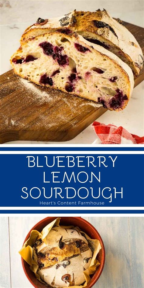 An easy recipe for blueberry lemon sourdough bread, a perfect blend of sweet and tart. You’ll ...