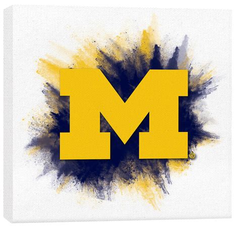 University of Michigan Color Splash Logo – P. Graham Dunn
