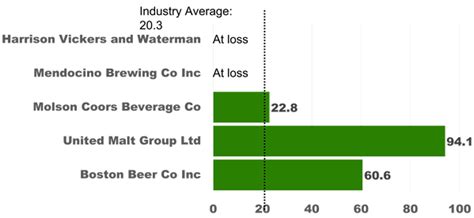 Boston Beer Company Fundamental Analysis | Stock Analysis | The Globetrotting Investor