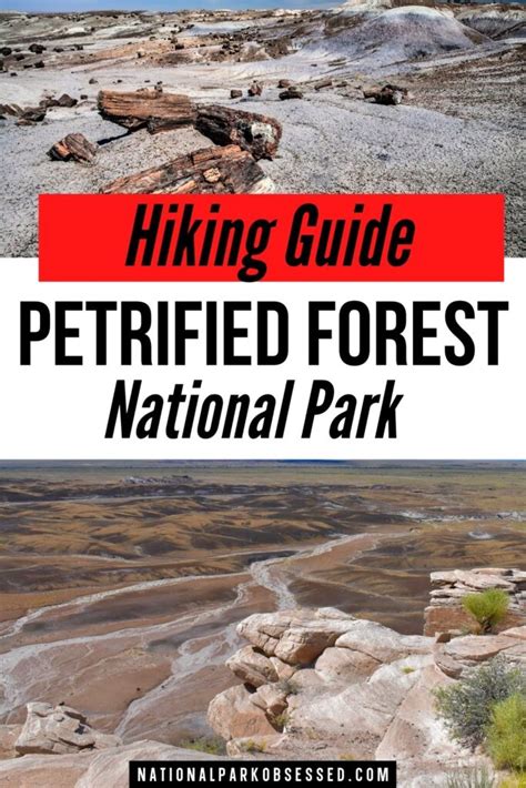 15 ABSOLUTE Best Hikes In Petrified Forest National Park For 2022 ...