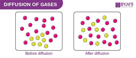 Diffusion of Gases : Important Concepts, Formulas and Examples