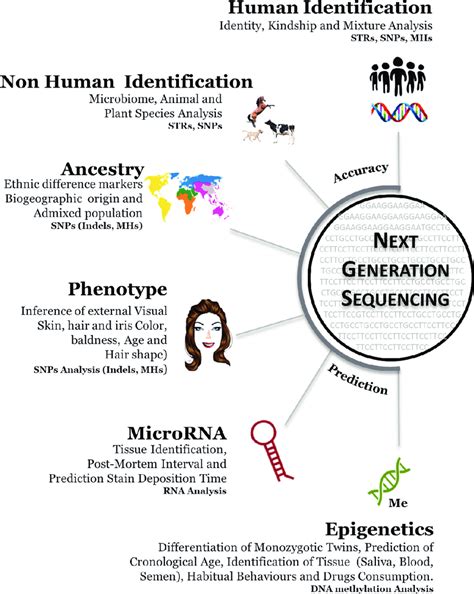 Next generation sequencing applications. NGS analysis in forensic ...