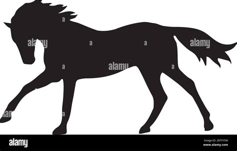 Walking horse silhouette or vector Stock Vector Image & Art - Alamy