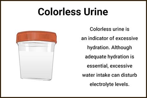 What Does Your Urine Color Indicate About Your Health