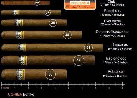 Cohiba Cigar Sizes Chart