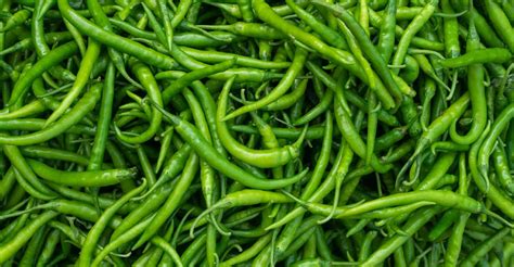 12 varieties of Indian chillies you must know about | Manorama English