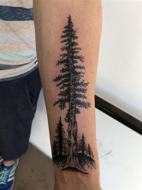 Redwood, done by Avelourd Legaspi at 27 Tattoo, PHX, AZ : r/tattoos