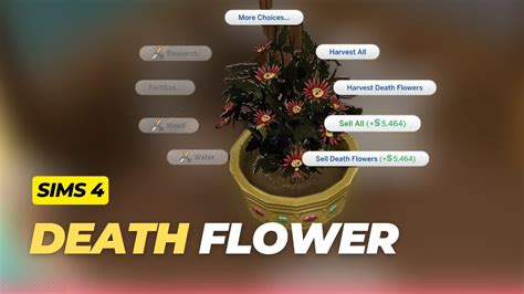 How to Get the Death Flower - The Sims 4 - YouTube