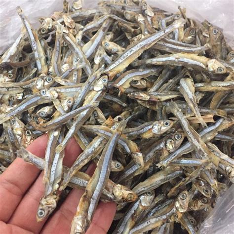 Dried Sprat fish with high quality and reasonable price for export 2020 ...